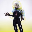 Björk (비요크) Vulnicura -Official Final- 이미지