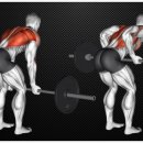 우리동네GYM 이미지