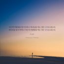 파스칼 이미지