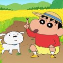 담꼬