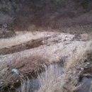 그린하우스펜션 이미지