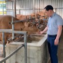 거성축산 이미지