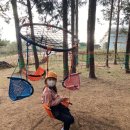 해솔목장 이미지