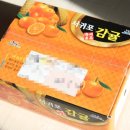 정수열 | 제주 정수열 서귀포 타이벡 감귤 10kg 구매후기