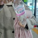 약초길 | 제천 여행 청풍호반케이블카 요금 주차 전망대 약초길