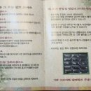 한라산쑥떡미당 - 7199 | 한라산쑥떡미당