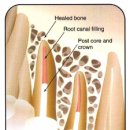 가락시장역 이미지