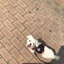 한일동물병원 이미지