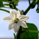 예슬이네 이미지