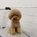 쁘띠멍살롱 이미지