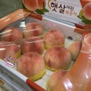 제주놀멍민박