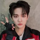 왈왈이 - 원주시 | 왈왈이