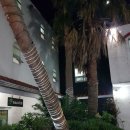 하와이팬션 이미지