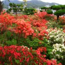 고산의원 이미지