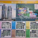 새집공인중개사사무소 이미지