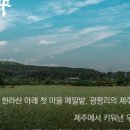 단비식당 이미지