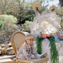 알프스파크 이미지