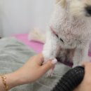 이뻐질개 이미지