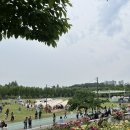 씨유시민회관점 | 보라매공원 서울국제정원박람회 상세후기