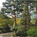 갤럭시공인중개사사무소 이미지