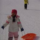 무궁화어린이집 이미지