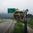 청룡농장 이미지