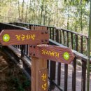 화개자동차서비스 이미지