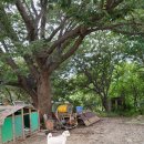 샤크빌리지6 이미지