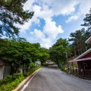 솔바람오토캠핑장 이미지