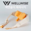 와이즈웰 이미지