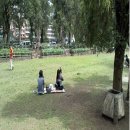 (주) 인터콜 Daum카페