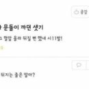 여시