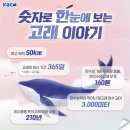 고래이야기 이미지