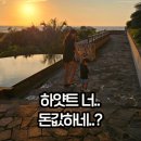 장성실내수영장 | 하얏트 세라가키 수영장 &amp; 인생 노을 명당 (오키나와 하얏트 리젠시 아기랑)