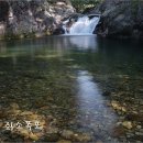 샘골솔밭야영장 이미지