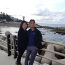 현대지물 이미지