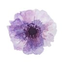 눈을맞추다&렌즈미 이미지