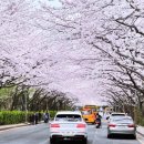 대우마리나아파트 이미지