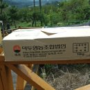 덕두농장 | 거시기장터에서 구매한 저렴한 신동진 쌀과 냉장 생절단육 닭볶음탕 용 디저트는 편강선물세트까지 한번에