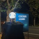 코쿤협재펜션 이미지