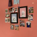 멍냥이발소 이미지