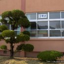 남이초등학교 이미지