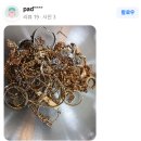 국제더드림 금거래소 | 🪙 부천금매입 제일더드림금거래소 | 국제 정세와 원화 가치 속 금 구매 전략