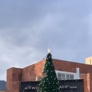 투썸플레이스마산창동점