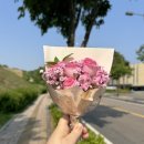 주성프라자 앞 | 5월 4,5주차의 나날들 (5/20-6/2)