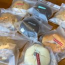 사파동121 이미지