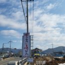 성거바지락칼국수 | 소풍 감성 입장 돈까스 맛집 '칼국수 집에 돈까스' 후기 (입장 칼국수 추천)