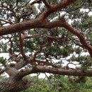 삼산남로 이미지