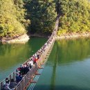 평촌범계연세바로걷는의원 이미지