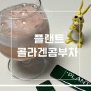 식물성콜라겐 플랜트콜라겐콤부차